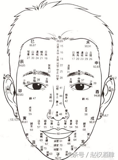 百歲流年圖 面相|教你學懂面相學！各種面相法綜合分解，百歲流年運氣。